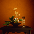 Aromag Inkcense Musky Moonlight Eau De Parfum - Stéle