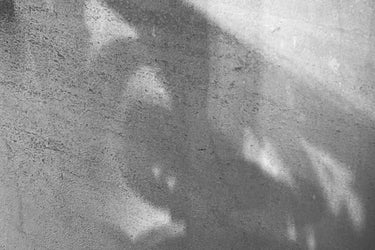 Brume Orpin Odosman Eau de Parfum