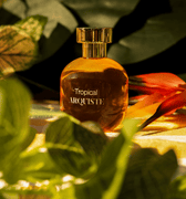 Arquiste Tropical Eau de Parfum - Stéle