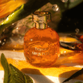 Arquiste Tropical Eau de Parfum - Stéle