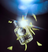 Param Sara The Nirvana Eau de Parfum - Stéle