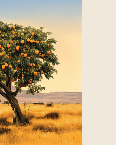 Twentysecondofmay Roots of Kente Eau de Parfum - Stéle