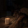 Bougie Poochie Unconditional Love Candle - Stéle