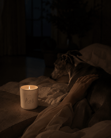 Bougie Poochie Unconditional Love Candle - Stéle