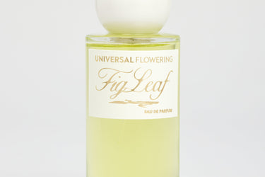 Universal Flowering Fig Leaf Eau de Parfum - Stéle