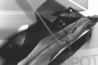 NOMR Honpot Eau de Parfum - Stéle