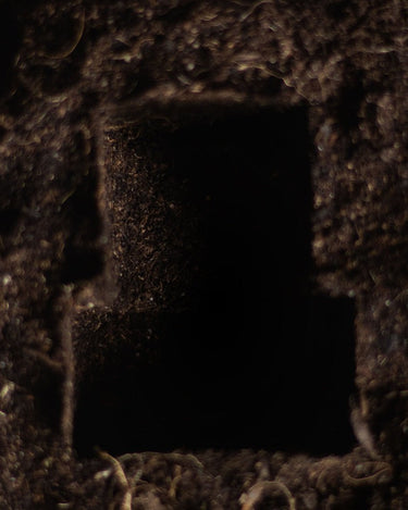 Mallo VAR Elixir de Parfum - Stéle