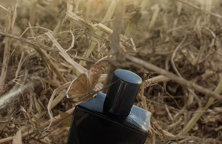 Space Fluid Whispering Fields Eau de Parfum