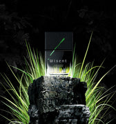 Wolf Brothers Wisent Eau de Parfum - Stéle