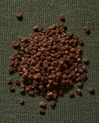 Hima Jomo Winter In Manaslu Eau de Parfum - Stéle