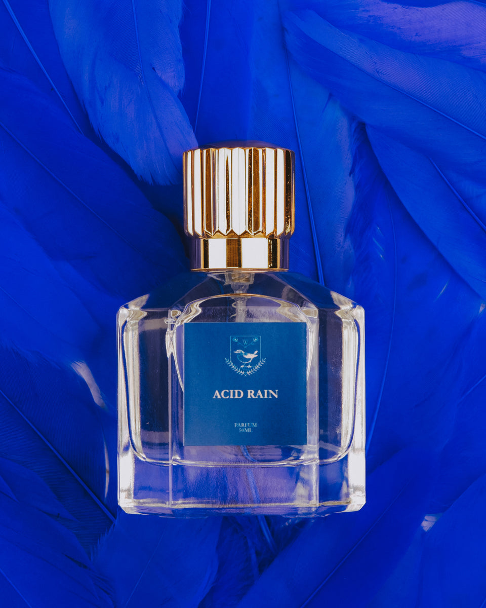 Wren Atelier Acid Rain Parfum - Stéle