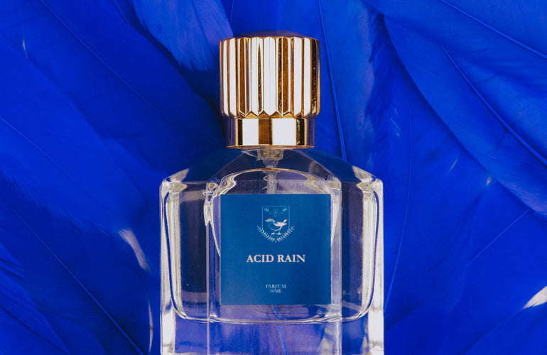 Wren Atelier Acid Rain Parfum - Stéle