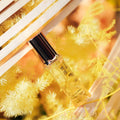 ZHUFU Above The Clouds Eau de Parfum - Stéle