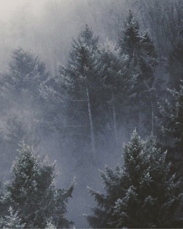 Hima Jomo Winter In Manaslu Eau de Parfum - Stéle