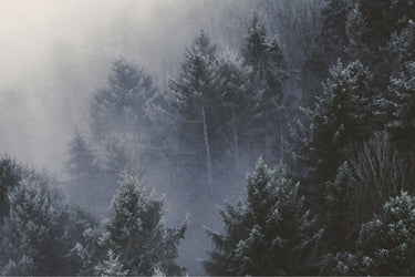 Hima Jomo Winter In Manaslu Eau de Parfum at Stéle