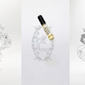 The Foolish Unlimited Co. Discovery Set - Stéle