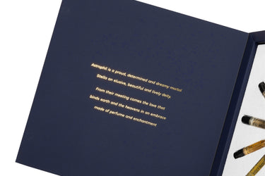 Astrophil & Stella Discovery Kit - Stéle