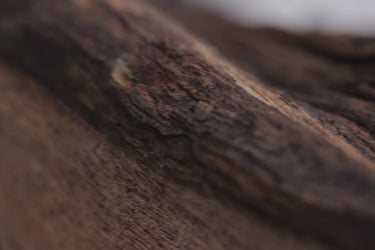 Sarah Baker Velvet Vendetta Extrait de Parfum - Stéle