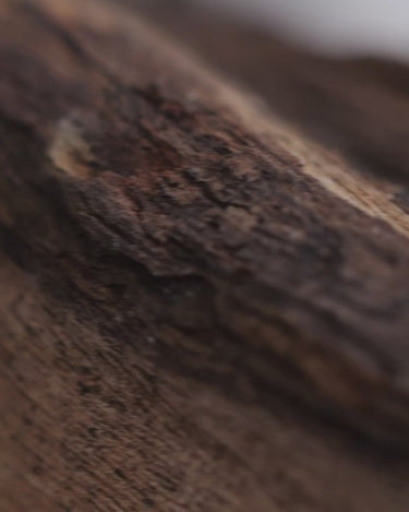 Sarah Baker Velvet Vendetta Extrait de Parfum - Stéle