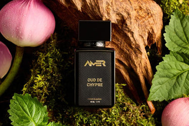 Amer Oud de Chypre Extrait de Parfum - Stéle