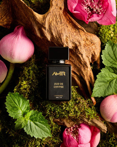Amer Oud de Chypre Extrait de Parfum - Stéle