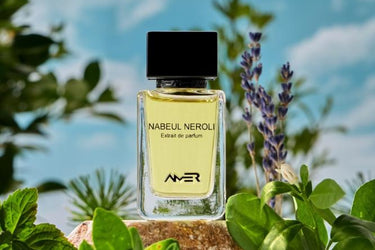 Amer Nabeul Neroli Extrait de Parfum - Stéle