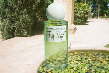 Universal Flowering Fig Leaf Eau de Parfum at Stéle