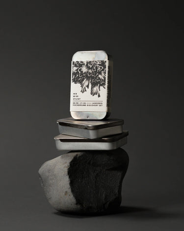 Fischersund Langdegi (Light) Discovery Set - Stéle