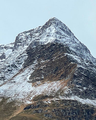 WienerBlut Nord du Nord Eau de Parfum - Stéle