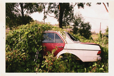 🎁 Maya Njie Voyeur Verde Eau De Parfum (100% off)