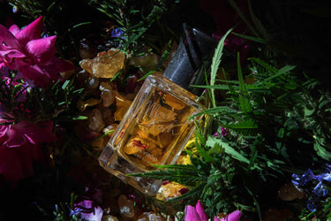 Extra Virgo Monte Kush Extrait de Parfum - Stéle