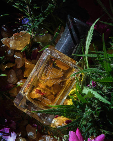 Extra Virgo Monte Kush Extrait de Parfum - Stéle