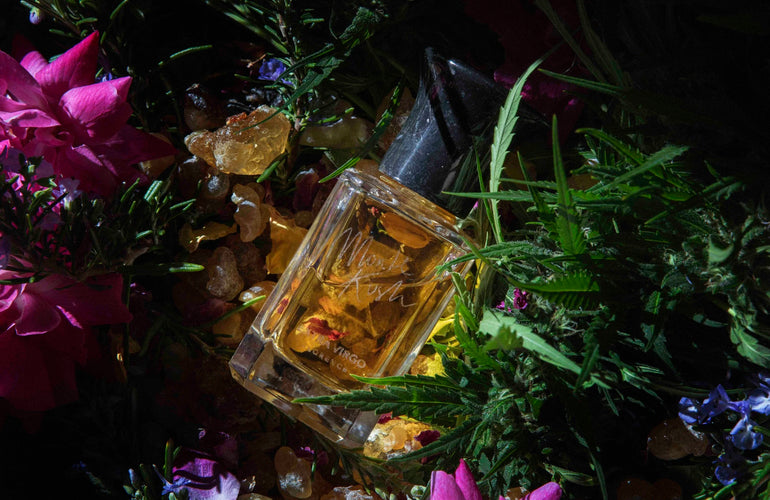 Extra Virgo Monte Kush Extrait de Parfum - Stéle