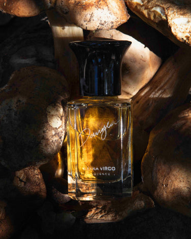 Extra Virgo Pangea Extrait de Parfum - Stéle