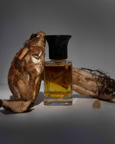 Extra Virgo Pangea Extrait de Parfum - Stéle