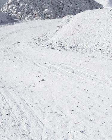 Neandertal Discovery Set - Stéle