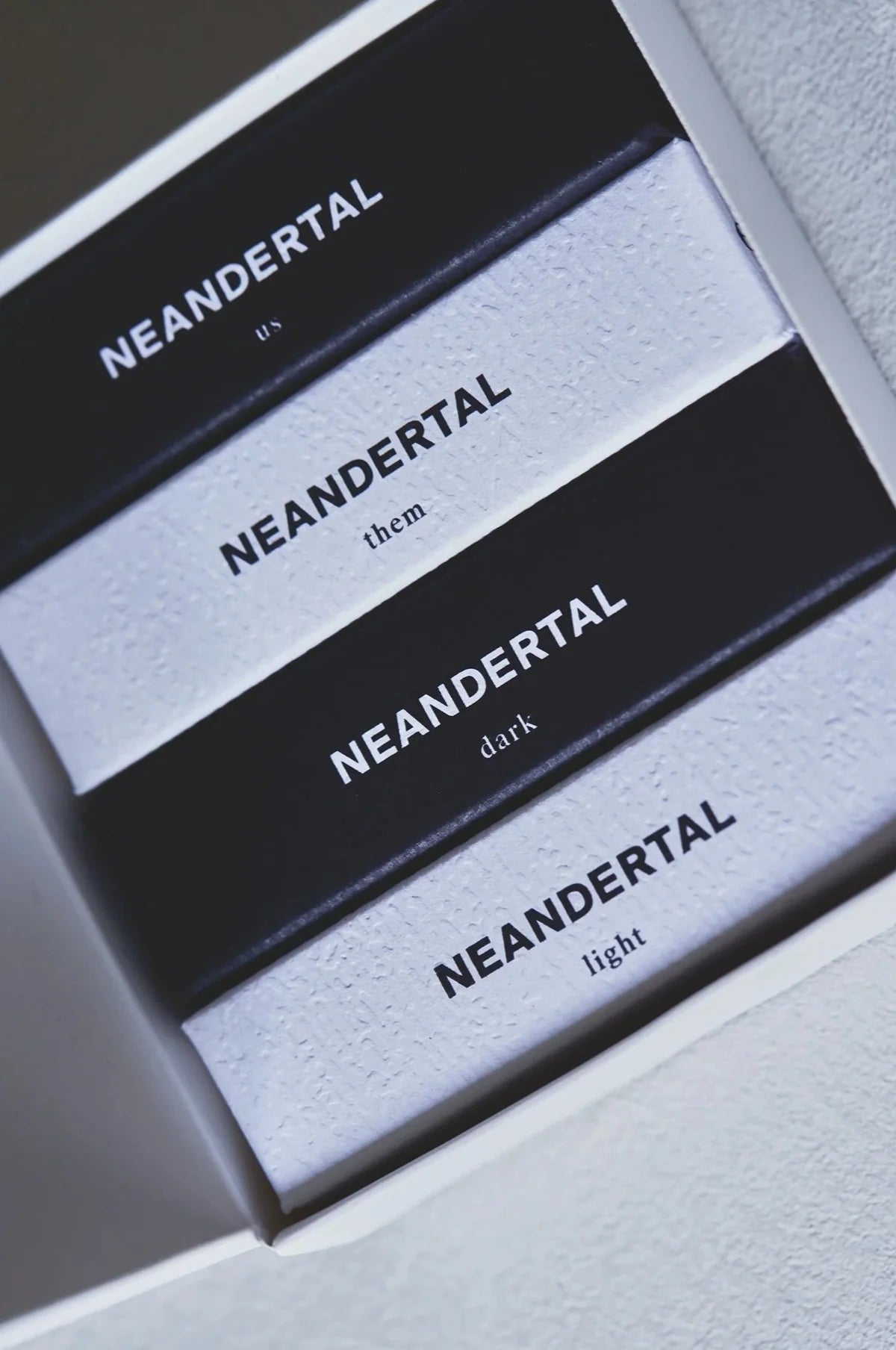 Neandertal Discovery Set - Stéle