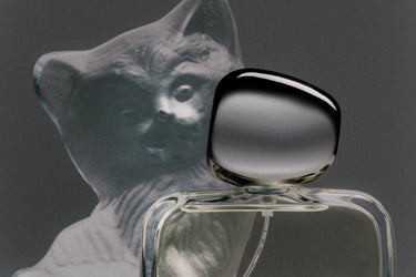 Nostos Calico Eau de Parfum - Stéle