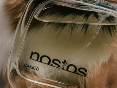 Nostos Calico Eau de Parfum - Stéle