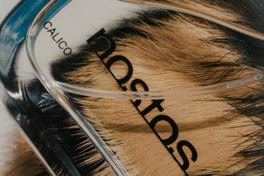 Nostos Calico Eau de Parfum - Stéle