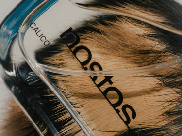 Nostos Calico Eau de Parfum - Stéle