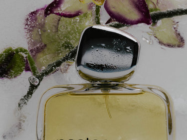 Nostos Shiver Eau de Parfum - Stéle