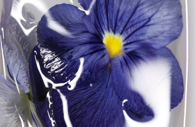 NOSU Hides Eau de Parfum - Stéle