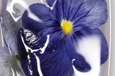 NOSU Hides Eau de Parfum - Stéle