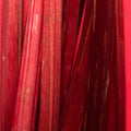 .Oddity Delulu Extrait de Parfum - Stéle