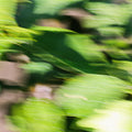 .Oddity Resonant Extrait de Parfum - Stéle