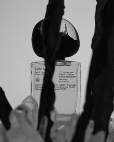 .Oddity Dead Air Extrait de Parfum - Stéle