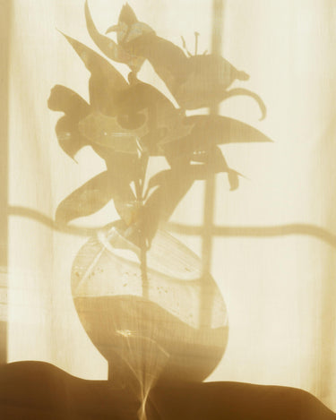 Vallense Sun Eau de Parfum - Stéle