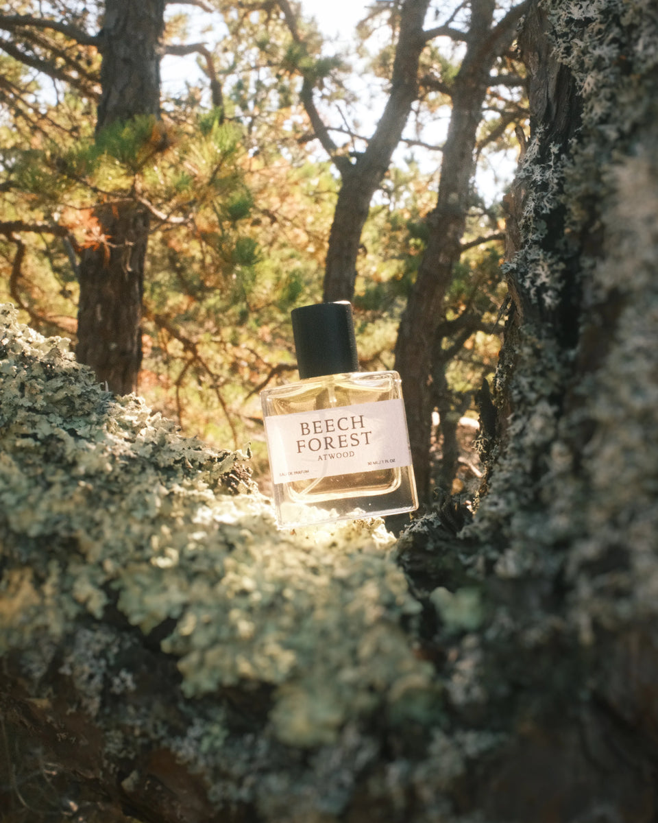Atwood Beech Forest Eau De Parfum - Stéle