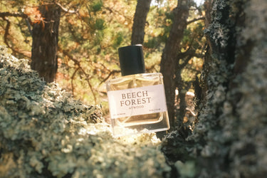 Atwood Beech Forest Eau De Parfum - Stéle